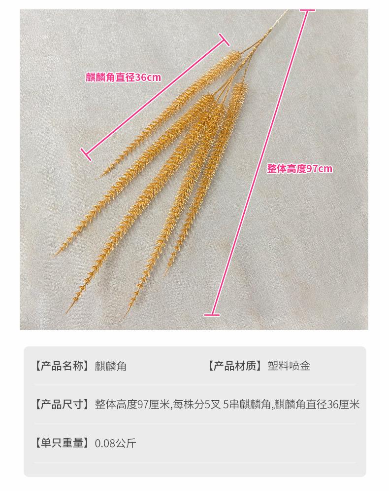 麒麟角产品参数.jpg