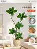 Plantas Verdes Artificiais de Alta Qualidade para Decoração de Sala de Estar, Planta Realista Falsa de Figueira-da-Índia Preta para Decoração de Sala de Transmissão ao Vivo