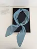 Bufanda Larga de Seda Negra Versátil, Bufanda de Color Sólido de Verano, Cinta, Nuevo Estilo de Moda Coreana, Pañuelo Pequeño para el Cuello, Corbata Plegada
