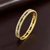 Pulseras de Acero de Titanio para Niñas, Joyería con Números Romanos, Pulseras de Acero Inoxidable de Lujo Ligero de Nicho que Se Pueden Mojar, No se Desvanecen y Versátiles