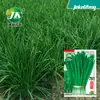 Fabricante Mayorista de Semillas de Puerro 791 Puerro de Raíz Blanca Granja de Puerros Semillas de Nueve Verduras de Raíz Morada Semillas de Puerro de Raíz Roja