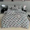 Conjunto de cama de quatro peças genuíno, espesso e confortável para o inverno, apresentando um esquema de cores cremoso e tecido macio de veludo de bebê; também disponível como um conjunto de três peças em fleece de coral