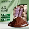 Extrato de Gengibre Preto em Pó 10:1 Fabricante Shaanxi Huike Em Estoque Frete Grátis Entrega Direta Pó de Gengibre Preto Solúvel em Água Grau Alimentício