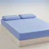 Sábana de forro polar grado A, pieza única, cubrecama cálido otoño/invierno, juego de tres piezas, modelo nuevo 2026, protector de colchón