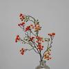 Arranjos de Flores para Decoração de Casa Estilo Americano no Atacado, Frutas Vermelhas, Frutas da Sorte, Frutos de Azevinho, Frutas de Natal Festivas