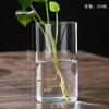 Vaso de vidro borossilicato transfronteiriço, garrafa hidropônica cilíndrica reta, ornamentos decorativos, vaso para plantas em estoque, atacado