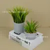 Planta verde de alta simulação flor em vaso cordão de dinheiro bola de grama muda de grama grama escritório display de mesa interna planta verde planta pequena em vaso