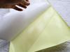 PVC anti-gato arranhão sofá adesivos protetores adesivos sofá móveis adesivos anti-gato arranhões adesivos fita gato raspadinha fabricantes fornecedores