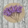 Tela de Seda de Gipsofila Simulada Arreglos Florales Pequeños para Decoraciones de Boda, Exhibición en Casa, Flores Artificiales, Ramos Simulados Venta al Por Mayor
