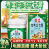 Ungüento Wang Tailin Tailandia Tigre Blanco Sanqi Cuello, Hombro, Cintura y Pierna Molestias Ungüento Venta en Vivo de Comercio Electrónico Regalos para los Ancianos