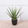 Aloe Vera Artificial Escandinavo en Maceta Decoración Interior para el Hogar Maceta Grande Suculentas Adornos Planta Verde Artificial Aloe Vera Mayoreo