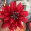 Quanzhou Cambodi Material de Grampo de Cabelo Flor Falsa Feito à Mão DIY Cabeça de Flor Artificial Roupas Chapéu Fotografia Acessórios de Hotel Material de Flor