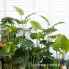 Plantas Artificiais Estilo Nórdico em Estoque para Atacado, Planta Artificial de Taro Torto, Plantas Verdes Falsas para Paisagismo, Plantas em Vasos para Decoração de Piso Interno para Sala de Estar