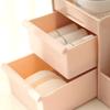 Caja de almacenamiento de cosméticos tipo cajón, para el cuidado de la piel, acabado de joyas, tocador de escritorio, caja de almacenamiento de plástico para mascarillas y lápiz labial.