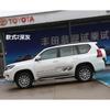 Adecuado para 2700/4000 Toyota Prado letras dominantes barra de color de carrocería personalidad pegatinas de coche