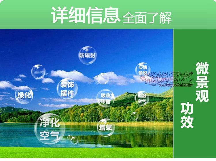 2465480985_394298364