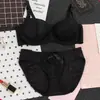 Lencería Fina de Cinta de Cuatro Colores Sujetador para Niña de Pecho Pequeño con Aro de Acero Reafirmante con Relleno Hebilla de Tres Ganchos Traje de Sujetador para Mujer
