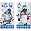 El Más Vendido de Amazon Gnomo Navideño de Invierno Copo de Nieve Toalla de Cocina Rústica Seasonal Kitchen Dish Towel