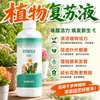 Revitalizador de Plantas Solução Nutritiva para Plantas Verdes Solução Revitalizante Promotor de Raízes Flores e Plantas Fertilizante para Flores Fertilizante Especial para Flores Solução Nutritiva Hidropônica