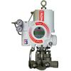 Fusi Flowserve Localizador Digital Logix 3200 MD e Regulador Fisher 67CFR