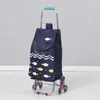 Carrito de Compras de Acero Inoxidable, Carrito Trepador de Escaleras, Carrito Grande Plegable para el Hogar para Personas Mayores, Carrito de Arrastre Manual