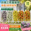 Transfronterizo Nuevo Amazon Montado en Pared Eucalipto Pensamiento Enredadera Jardín Exterior Paisajismo Decoración del Hogar Flores Artificiales