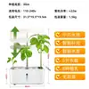 Equipo Hidropónico para Cultivo sin Suelo en Interiores para Cultivar Verduras, Flores, Hierbas, Tomates Enanos y Pimientos, Hecho de Acero al Manganeso