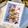 Marco de Fotos de Madera Hueco Tridimensional Estilo Europeo Marco para Espécimenes de Insectos Mariposa de 6 pulgadas Hojas Caídas Flores Secas Conchas Marco de Fotos DIY Marco Vacío