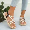Sandalias chanclas de tira fina tejida transfronterizas, de paja, suela gruesa, con tira trasera, planas, casuales, para vacaciones, comercio exterior, talla grande, para mujer, UE