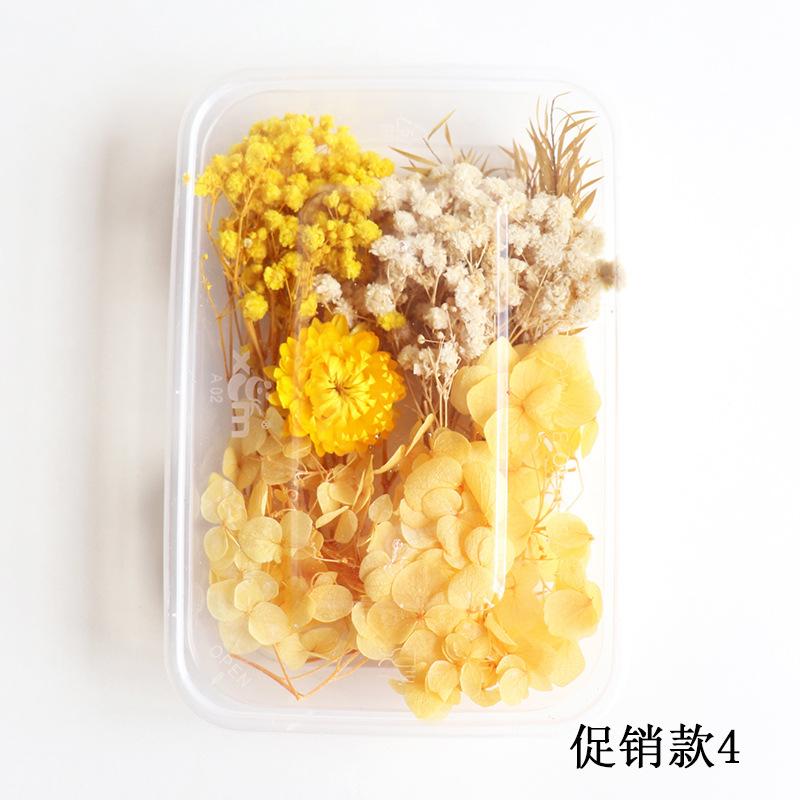 促销款4