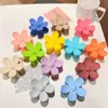 Pinzas para el Cabello de Colores Dulces de Nueva Primavera y Verano Transfronterizas, Pasadores Florales Dulces, Pinzas Frescas para el Cabello, Accesorios para el Cabello