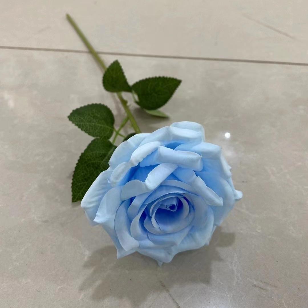 单支玫瑰浅蓝