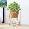 Estante de flores multicapa oferta especial estante de rábano verde para balcón estante de almacenamiento de suelo para interiores estante de macetas de hierro para sala de estar colgante