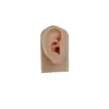 Exibição de Orelha de Silicone para Simulação Modelo de Orelha de Silicone Orelha de Silicone Mannequin de Orelha para Simulação Venda Quente