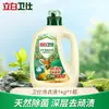 Detergente para Ropa Antibacteriano Natural Liby Weishi, Antibacteriano, Fragancia Duradera, Caja al por Mayor, Uso Doméstico, Producto Genuino de Tienda Oficial Insignia