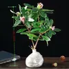 Plantas grandes em vasos com bordas douradas, fragrância forte, com botões florais, adequadas para uso interno e externo, plantas maduras para contemplação das flores, resistentes ao frio, florescem o ano todo