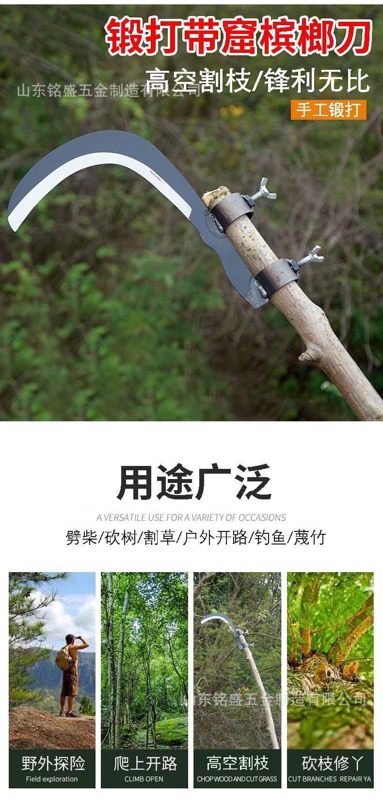 详情-1.jpg?x-oss-process=image/format,png