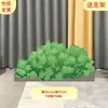 Tablero KT escenario escena de bosque árbol grande utilería de actuación casa maqueta de sketch infantil tablero de fondo
