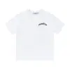 Marca de moda americana Trapstar Camiseta de manga corta para hombre, pareja, estilo callejero Ins, verano, holgada, casual, para mujer, a la moda