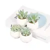 Suculenta Planta Taça de Diamante Bonsai Decoração Casa Escritório Es1178-4 Paisagem em Microfibra Aveludada Mini Alta Simulação