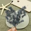 Una Flor Inmortal Flor Penglai Pino 2 Gramos Materiales de Flor Inmortal Materiales Hechos a Mano Paquete de Materiales DIY Materiales Caja de Regalo Vidrio