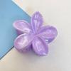 Pinza para Plumeria al por Mayor Transfronteriza Pinza Lateral de Venta Caliente para Vacaciones Horquilla para el Cabello Parte Posterior de la Cabeza Pinza de Tiburón Accesorio para el Cabello