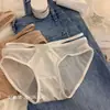 Ropa interior de encaje sexy de malla de puro deseo japonés para mujer, ropa interior cómoda y caliente de comercio exterior para mujer