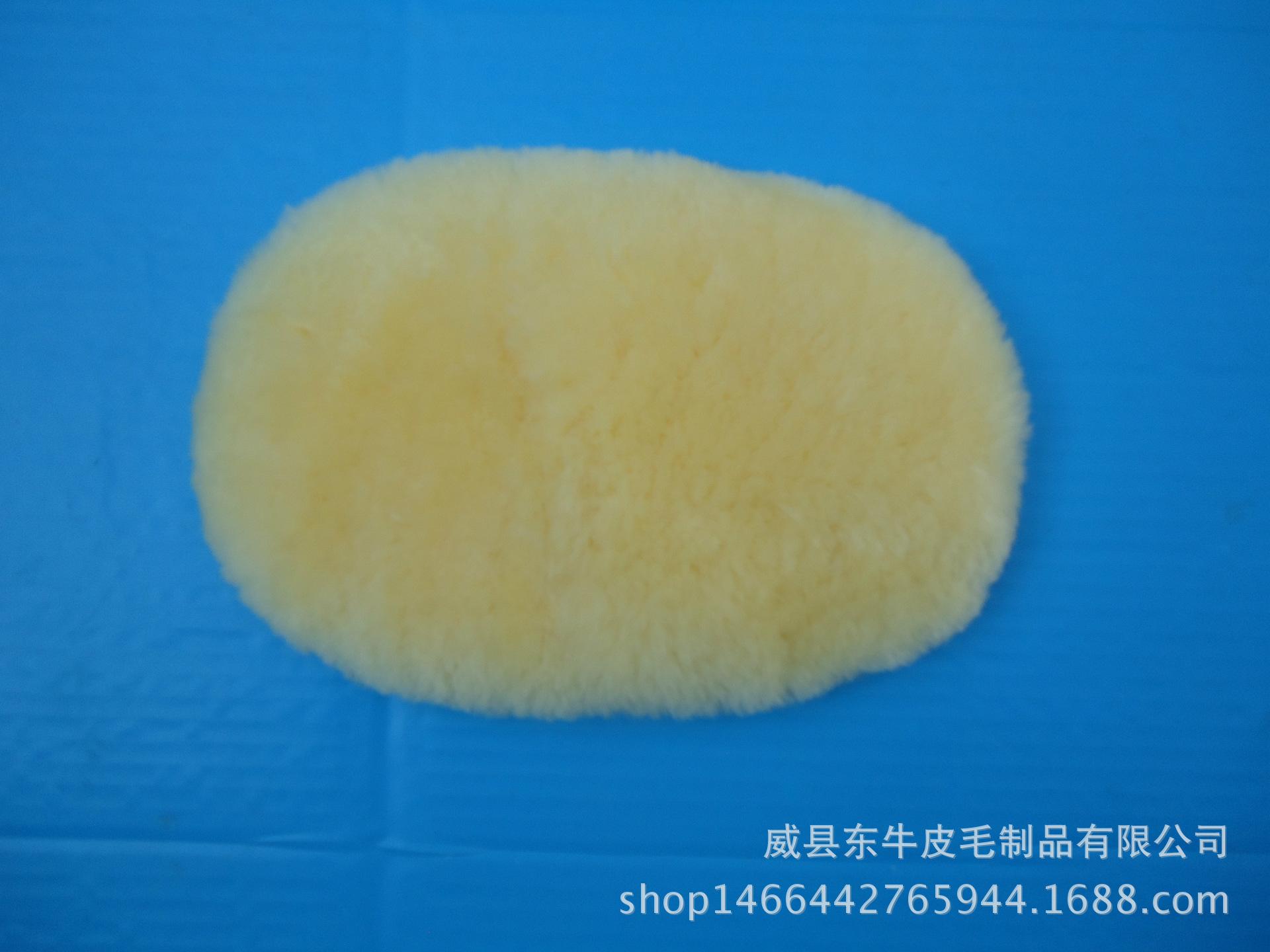 DSC02269