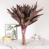 Planta Hidropônica de Bambu Phalaenopsis Flores em Vasos Plantas Verdes Flores de Interior Sala de Estar Plantas Verdes Cultivadas em Água Bambu da Fortuna de Folhas Grandes Plantas de Bambu que Crescem Cada Vez Mais Altas