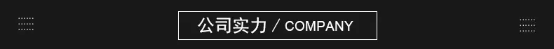 公司实力