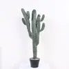 Estilo Escandinavo Cactus Simulad o Cactus Pilar de Dragón Maceta Decoración para el Hogar Interior Adornos Planta Biónica Paisajismo
