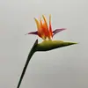 Ave del Paraíso Simulada, Strelitzia, Plantas Verdes, Arreglos Florales de Alta Calidad, Decoraciones Florales, Flores para Bodas en Casa, Flores Simuladas, Flores Artificiales