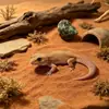 Areia de Cálcio para Répteis em estoque para atacado: grânulos finos para lagartos dragão-barbudos e geckos pigmeus, criando uma paisagem desértica natural