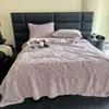 Comércio Exterior Novo Tafetá Cor Sólida Jacquard Manta Multifuncional Jacquard Borboleta Manta Fabricante
